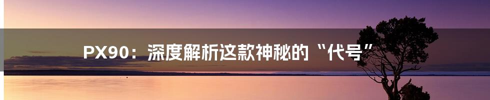 PX90：深度解析这款神秘的“代号”