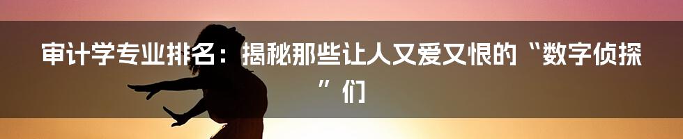 审计学专业排名：揭秘那些让人又爱又恨的“数字侦探”们