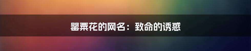 罂粟花的网名：致命的诱惑