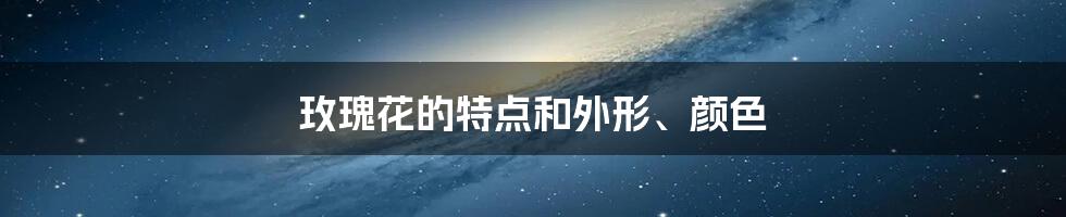 玫瑰花的特点和外形、颜色