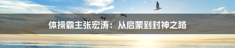 体操霸主张宏涛:从启蒙到封神之路