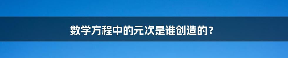 数学方程中的元次是谁创造的?
