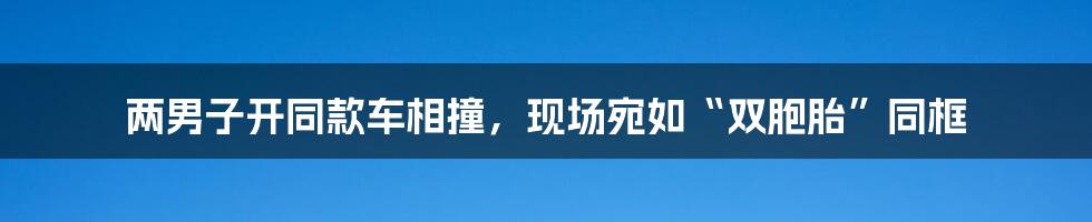 两男子开同款车相撞,现场宛如“双胞胎”同框