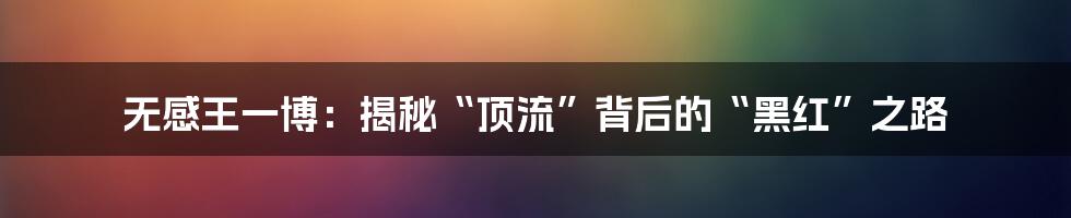 无感王一博:揭秘“顶流”背后的“黑红”之路