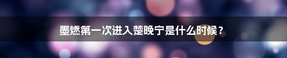 墨燃第一次进入楚晚宁是什么时候？