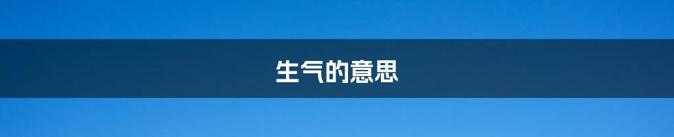 生气的意思