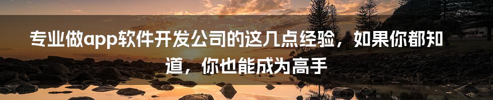 专业做app软件开发公司的这几点经验,如果你都知道,你也能成为高手