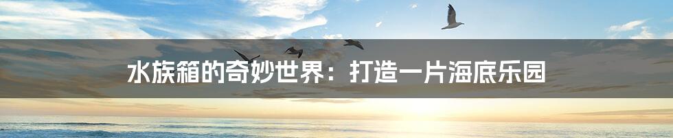 水族箱的奇妙世界:打造一片海底乐园