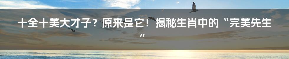 十全十美大才子?原来是它!揭秘生肖中的“完美先生”