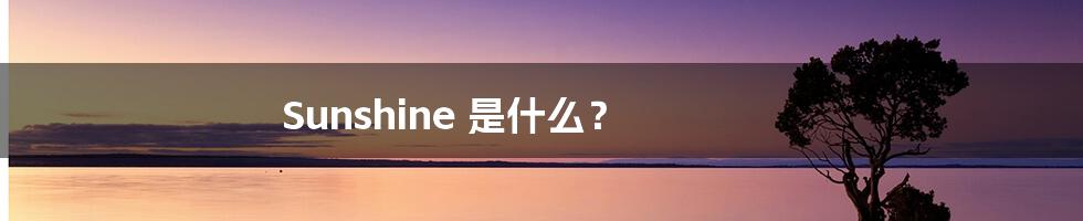 Sunshine 是什么?