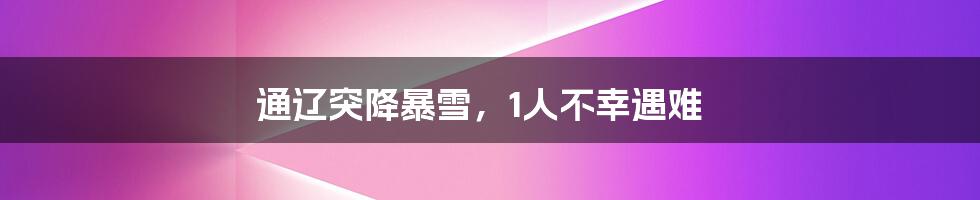 通辽突降暴雪,1人不幸遇难