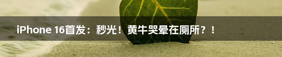 iPhone 16首发:秒光!黄牛哭晕在厕所?!