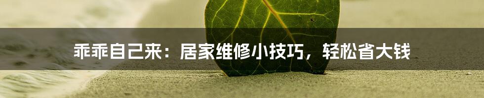乖乖自己来:居家维修小技巧,轻松省大钱