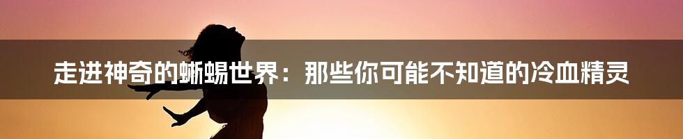 走进神奇的蜥蜴世界:那些你可能不知道的冷血精灵