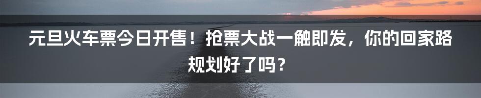元旦火车票今日开售!抢票大战一触即发,你的回家路规划好了吗?