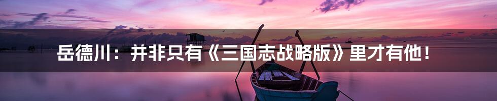 岳德川:并非只有《三国志战略版》里才有他!