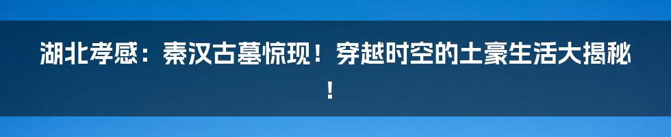 湖北孝感:秦汉古墓惊现!穿越时空的土豪生活大揭秘!