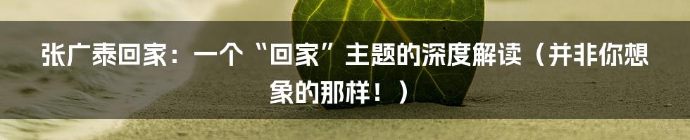 张广泰回家:一个“回家”主题的深度解读(并非你想象的那样!)