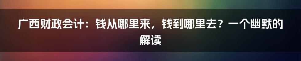 广西财政会计:钱从哪里来,钱到哪里去?一个幽默的解读