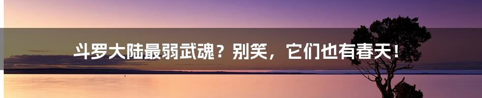 斗罗大陆最弱武魂?别笑,它们也有春天!