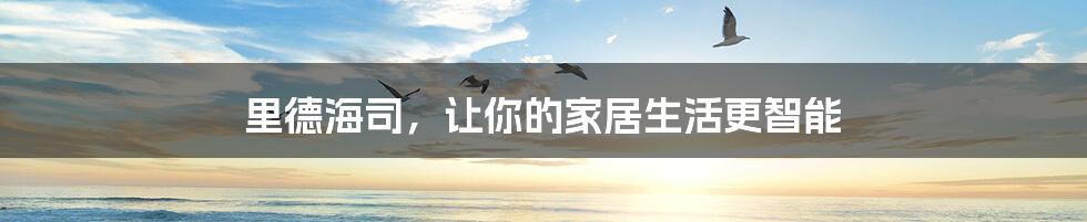 里德海司,让你的家居生活更智能