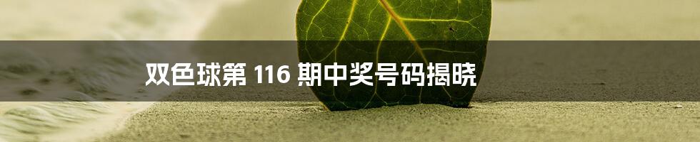 双色球第 116 期中奖号码揭晓