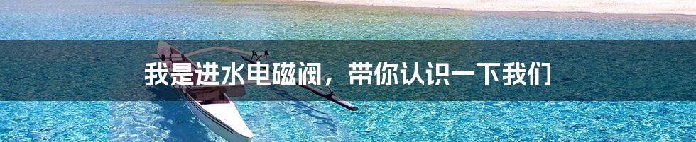 我是进水电磁阀,带你认识一下我们