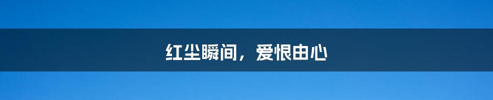 红尘瞬间,爱恨由心