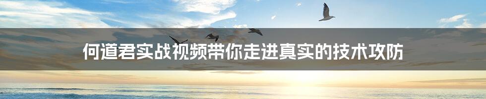 何道君实战视频带你走进真实的技术攻防