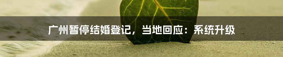 广州暂停结婚登记,当地回应:系统升级