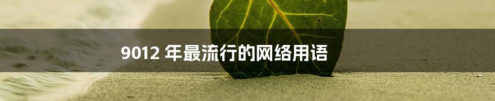 9012 年最流行的网络用语