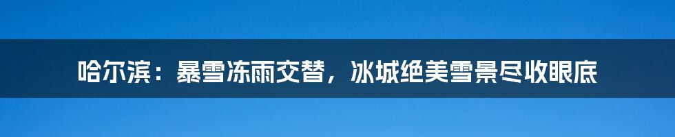 哈尔滨:暴雪冻雨交替,冰城绝美雪景尽收眼底