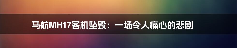 马航MH17客机坠毁:一场令人痛心的悲剧