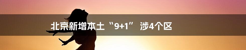 北京新增本土“9+1” 涉4个区