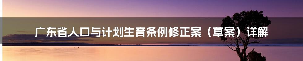 广东省人口与计划生育条例修正案(草案)详解
