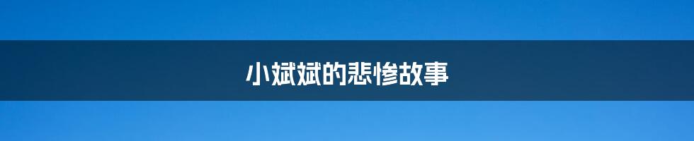 小斌斌的悲惨故事