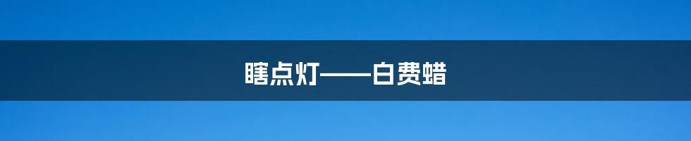 瞎点灯——白费蜡