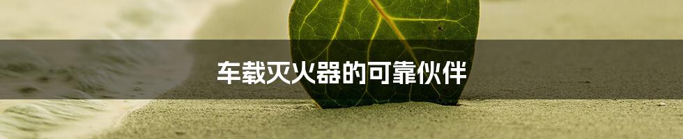 车载灭火器的可靠伙伴
