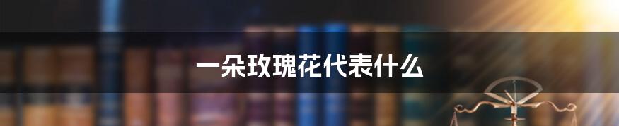 一朵玫瑰花代表什么
