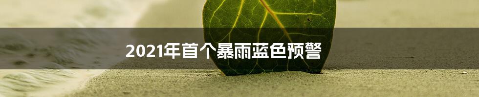 2021年首个暴雨蓝色预警