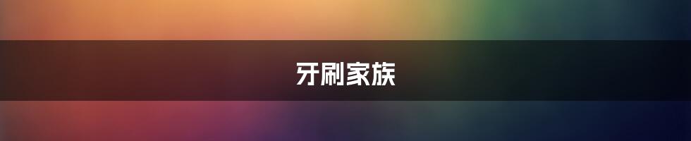 牙刷家族