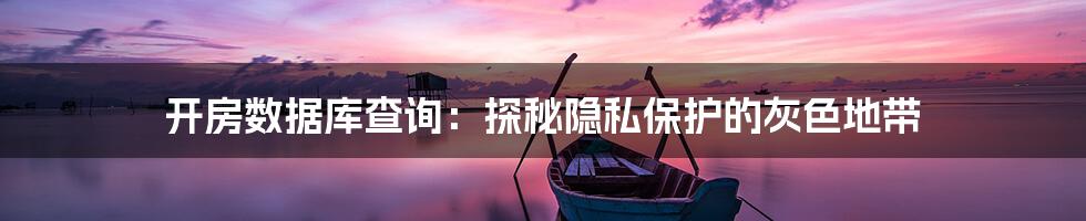 开房数据库查询:探秘隐私保护的灰色地带