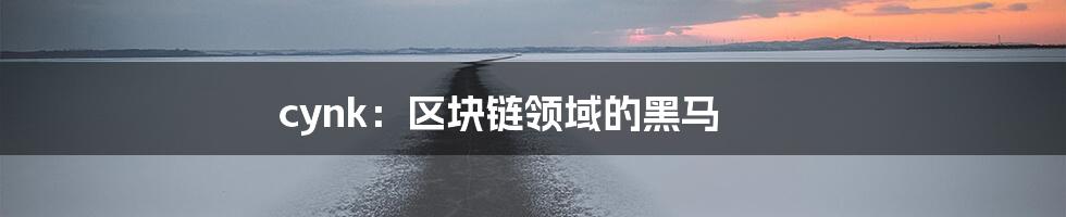 cynk:区块链领域的黑马