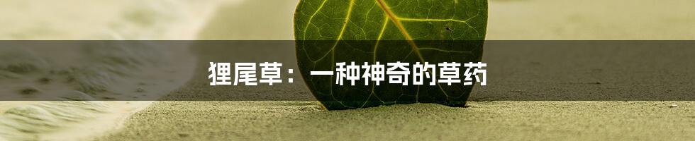 狸尾草:一种神奇的草药