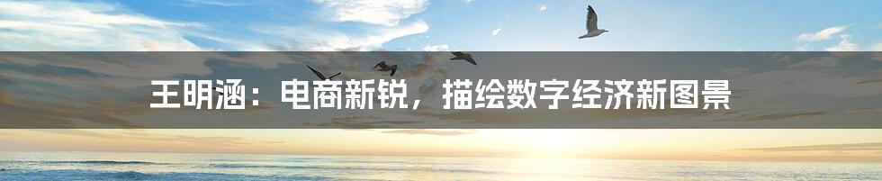 王明涵:电商新锐,描绘数字经济新图景