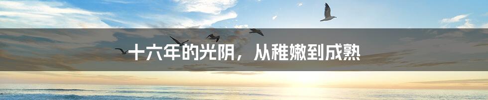 十六年的光阴,从稚嫩到成熟
