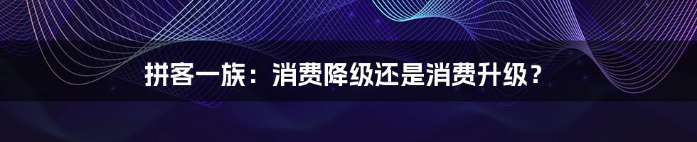 拼客一族:消费降级还是消费升级?