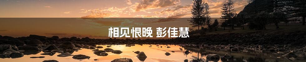 相见恨晚 彭佳慧