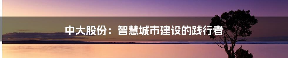 中大股份:智慧城市建设的践行者