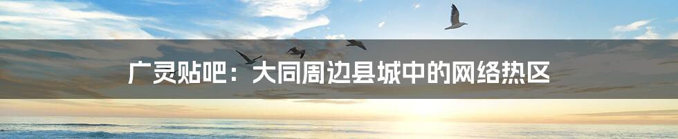 广灵贴吧:大同周边县城中的网络热区